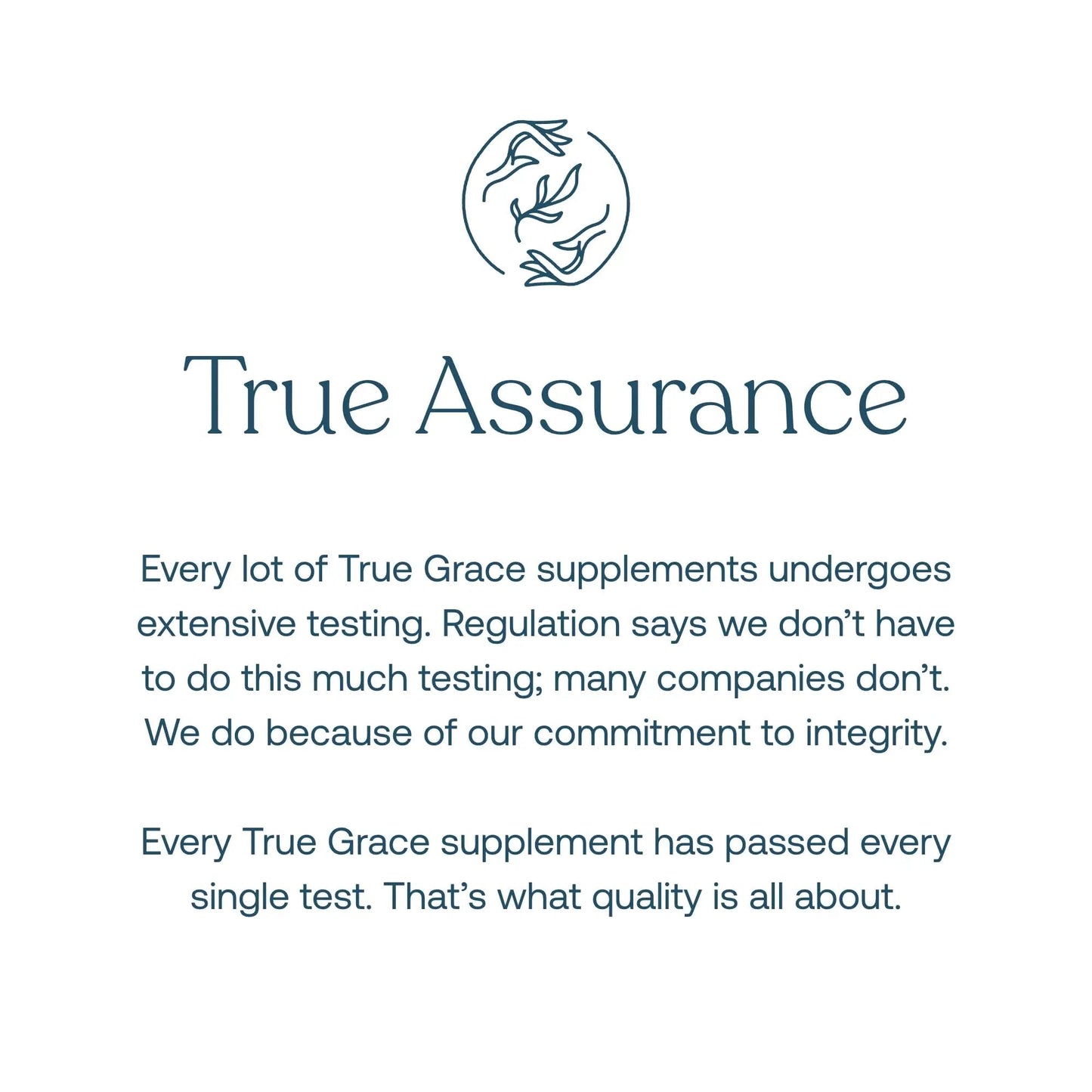 True Grace Men's 40+ One Daily Multivitamin Fermented Minerals, Organic Adaptogens & Mushrooms Whole Body Balance Immune - Maple Wellness Supplements