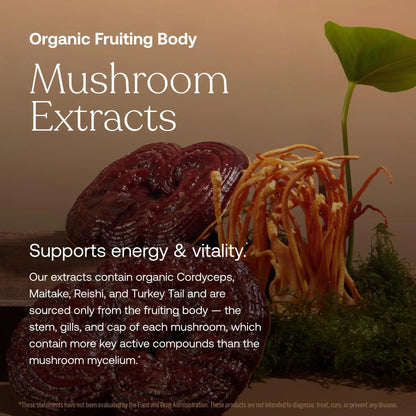 True Grace One Daily Women’s Multivitamin Fermented Minerals, Organic Adaptogens & Mushrooms Whole Body Balance, Immune, Energy, Beauty Support - Maple Wellness Supplements
