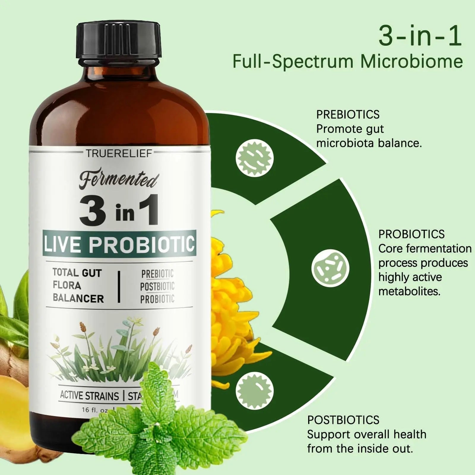 TRUERELIEF Women's Daily Probiotic + Prebiotic + Postbiotic Liquid, 3-in-1 for Gut Health, 10 Strains & 18 Fermented Herbs (1) - Maple Wellness Supplements