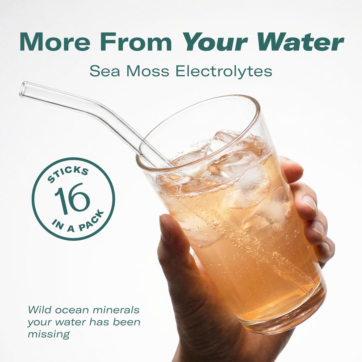 TrueSeaMoss Electrolytes Powder Packets – Made in USA – 16 Stickpacks – Hydration Powder with Sea Moss with Potassium – No Sugar Drinks – Variety Pack - Maple Wellness Supplements