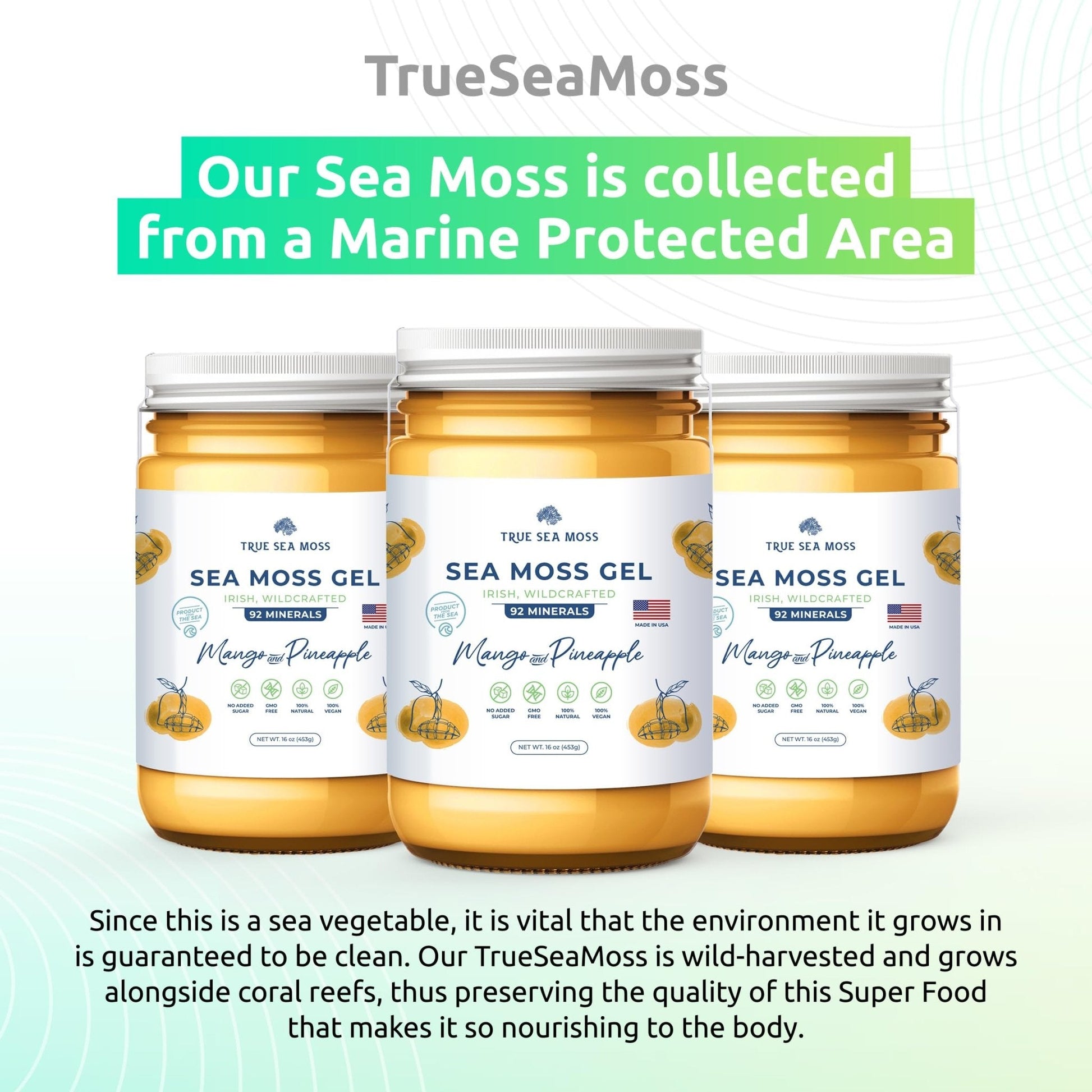 TrueSeaMoss Wildcrafted Irish Sea Moss Gel – Nutritious Organic Raw Seamoss Rich - Maple Wellness Supplements