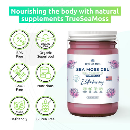 TrueSeaMoss Wildcrafted Irish Sea Moss Gel – Nutritious Organic Raw Seamoss Rich - Maple Wellness Supplements