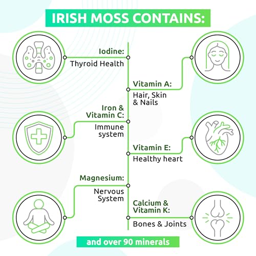 TrueSeaMoss Wildcrafted Irish Sea Moss Gel – Nutritious Raw Seamoss Rich in Minerals - Maple Wellness Supplements