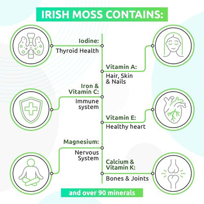 TrueSeaMoss Wildcrafted Irish Sea Moss Gel – Nutritious Raw Seamoss Rich in Minerals - Maple Wellness Supplements