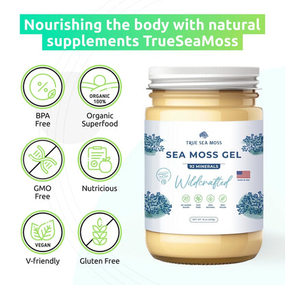 TrueSeaMoss Wildcrafted Irish Sea Moss Gel – Nutritious Raw Seamoss Rich in Minerals - Maple Wellness Supplements