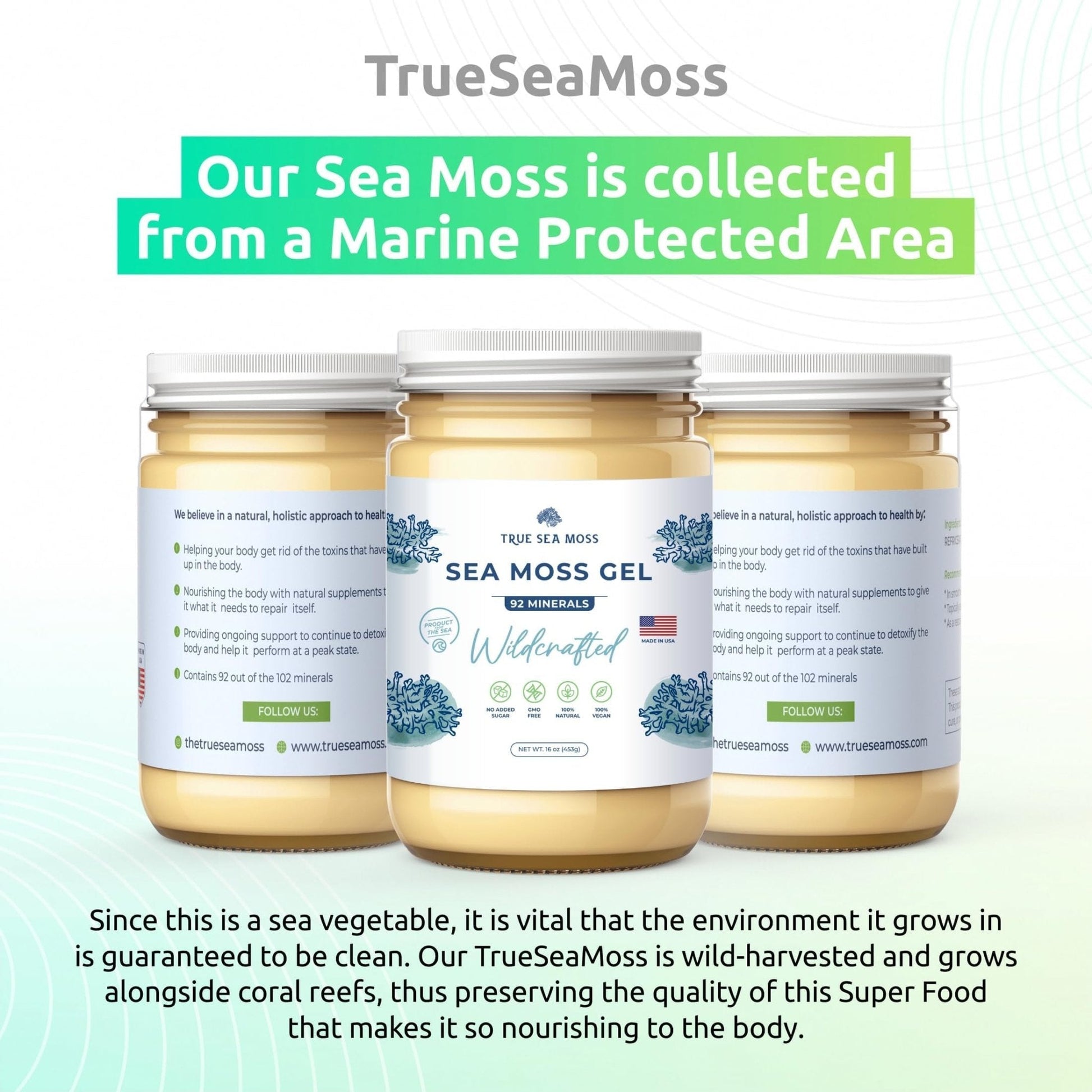 TrueSeaMoss Wildcrafted Irish Sea Moss Gel – Nutritious Raw Seamoss Rich in Minerals - Maple Wellness Supplements
