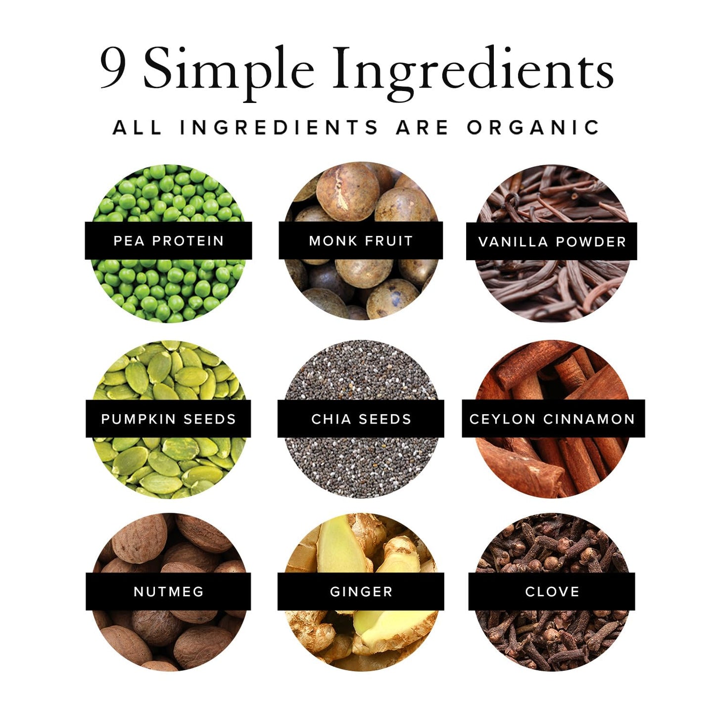 Truvani Organic Vegan Protein Powder Pumpkin Spice - 20g of Plant Based Protein - Maple Wellness Supplements