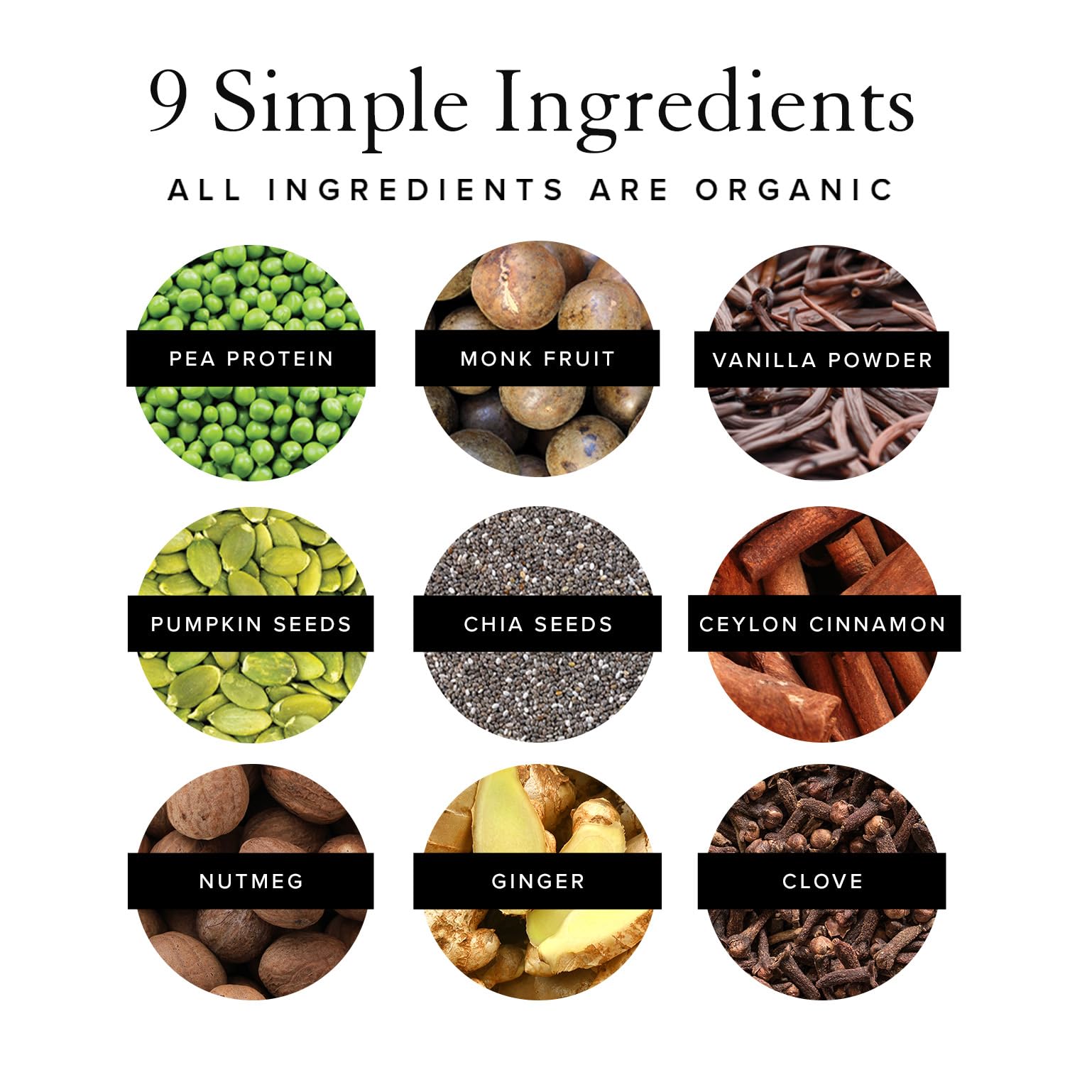 Truvani Organic Vegan Protein Powder Pumpkin Spice - 20g of Plant Based Protein - Maple Wellness Supplements