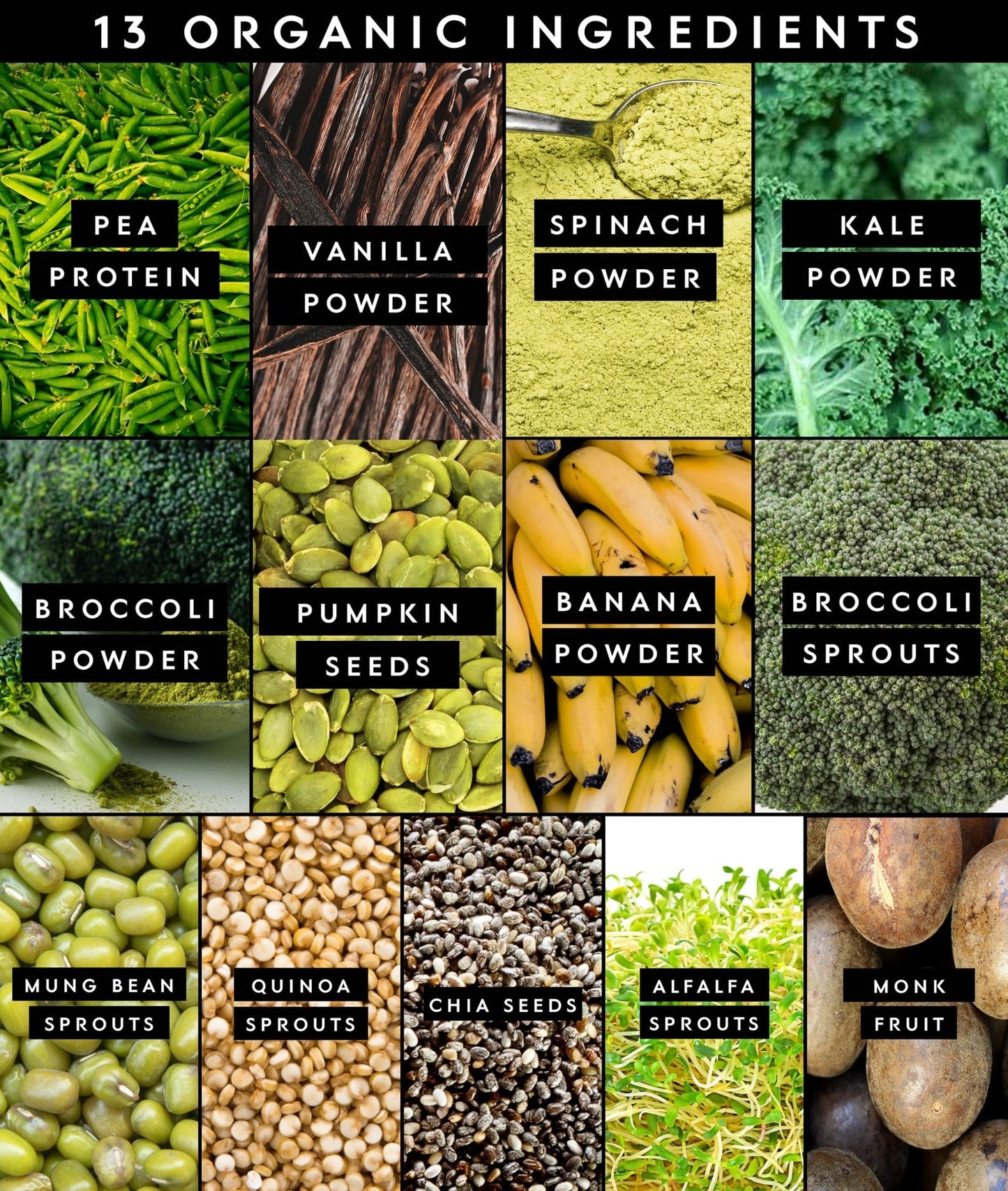 Truvani Protein + Greens Supplement | Spinach, Kale & Broccoli | 10g Organic Plant Based Protein | 20 Servings | USDA Organic | Gluten & Dairy Free - Maple Wellness Supplements