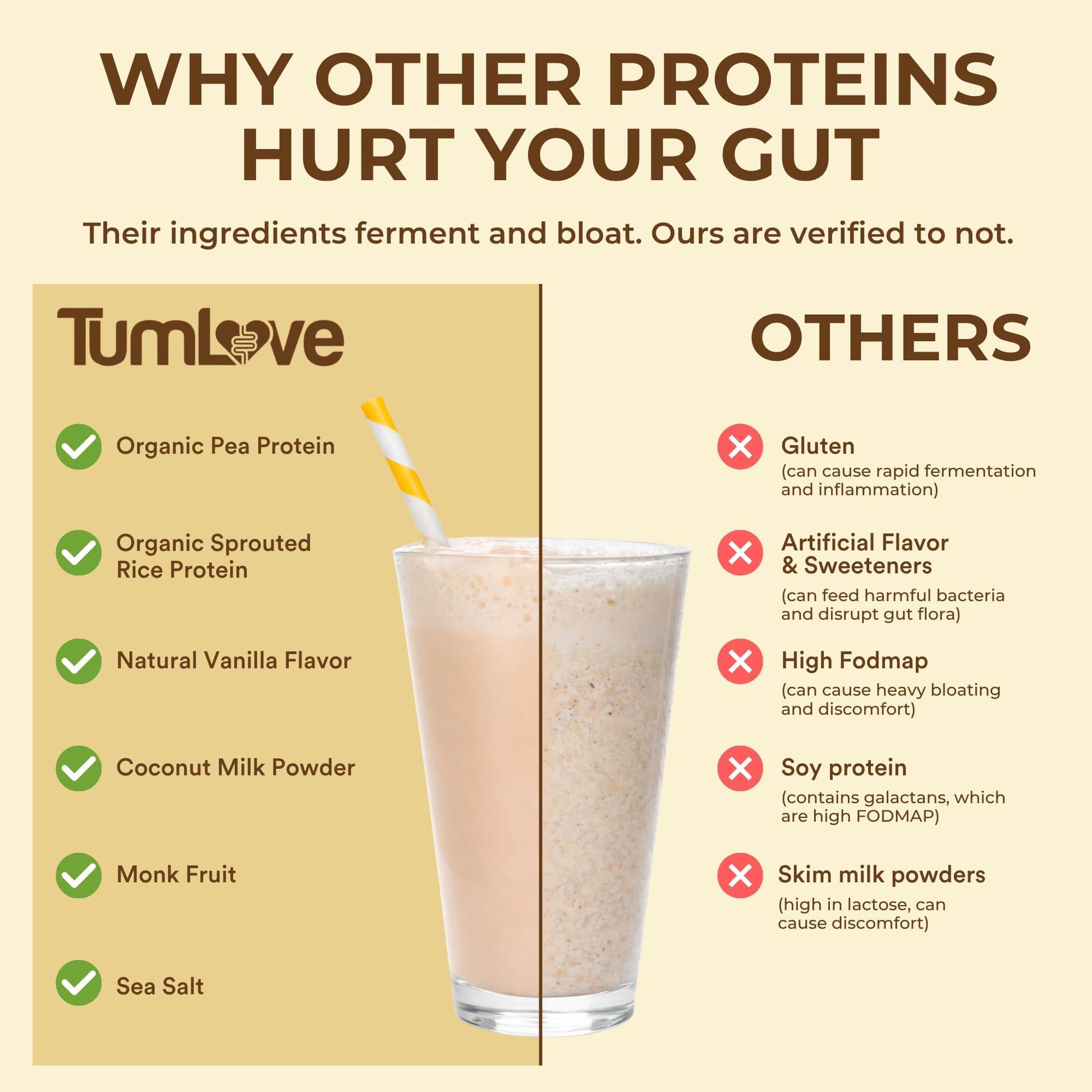 TumLove Vegan Protein Powder - Low FODMAP Certified, Gluten-Free, Dairy-Free, Soy-Free, 100% Gut-Friendly & Non-Bloating, Vanilla (25 Servings) - Maple Wellness Supplements