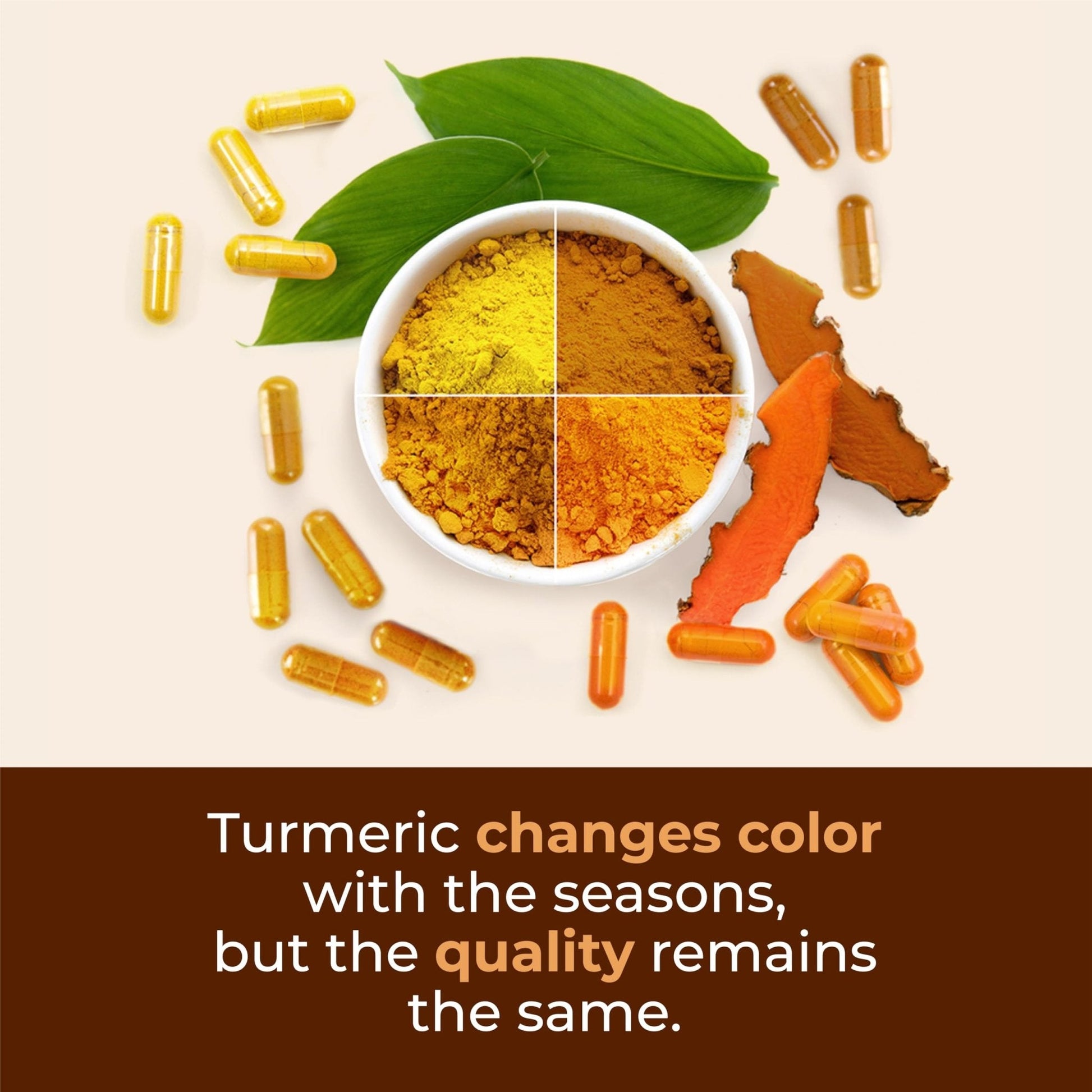 Turmeric with Black Pepper - High Potency Organic 1200mg Turmeric Curcumin Supplement for Joint Support & Digestive Health - Curcumin with Black Pepper - Maple Wellness Supplements