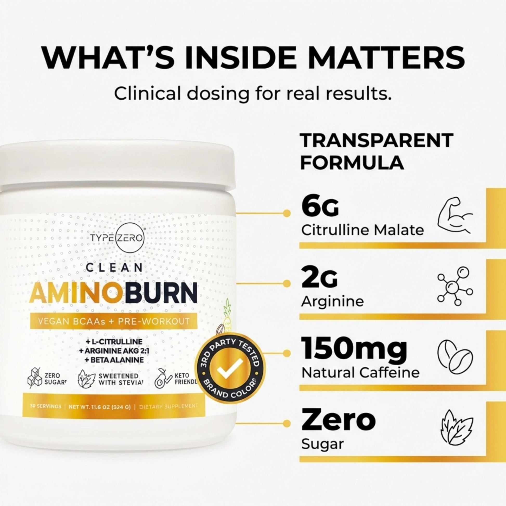 Type Zero Amino Burn Vegan BCAAs + Pre-Workout (Pina Colada Flavored) - Maple Wellness Supplements