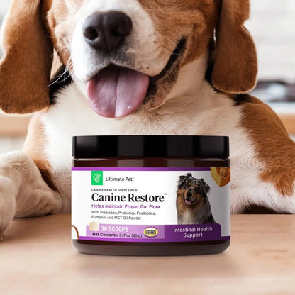 Ultimate Pet Nutrition Canine Restore, Gut Health Supplement with Prebiotics, Probiotics, & Postbiotics for Digestive Health & Immunity Support, Vet Formulated Powder Food Topper - Maple Wellness Supplements
