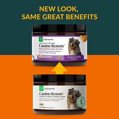 Ultimate Pet Nutrition Canine Restore, Gut Health Supplement with Prebiotics, Probiotics, & Postbiotics for Digestive Health & Immunity Support, Vet Formulated Powder Food Topper - Maple Wellness Supplements