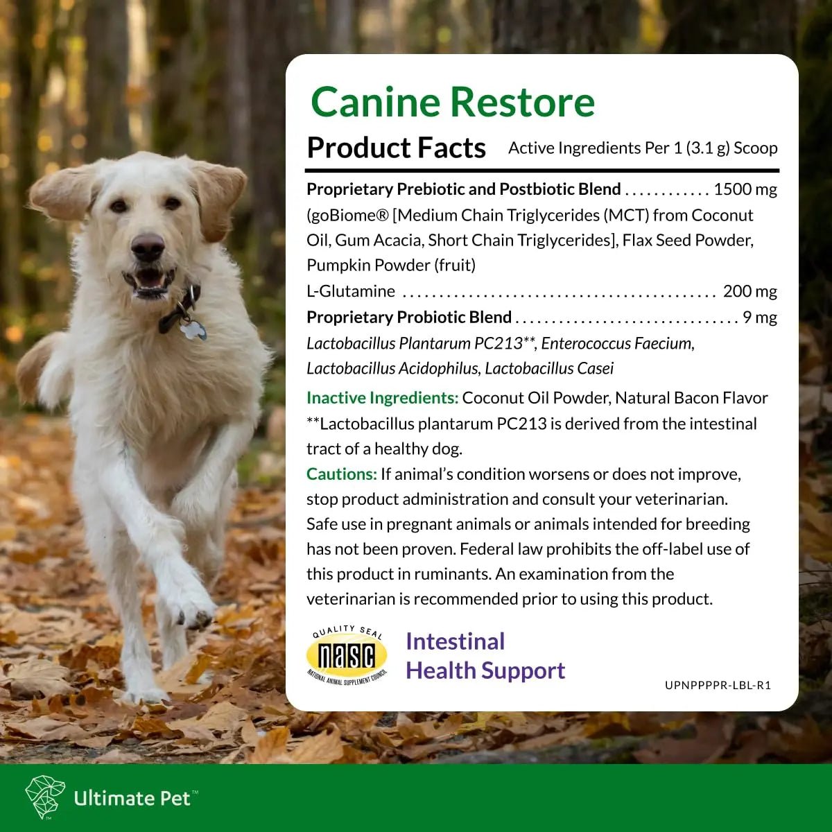 Ultimate Pet Nutrition Canine Restore, Gut Health Supplement with Prebiotics, Probiotics, & Postbiotics for Digestive Health & Immunity Support, Vet Formulated Powder Food Topper - Maple Wellness Supplements
