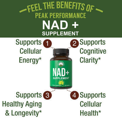 Ultra High Purity NAD Supplement for Women and Men. NAD+ Similar to Nicotinamide Riboside. Supports Energy, Brain Function, Healthy Aging & Longevity. Third Party Tested Non-GMO Supplements - Maple Wellness Supplements