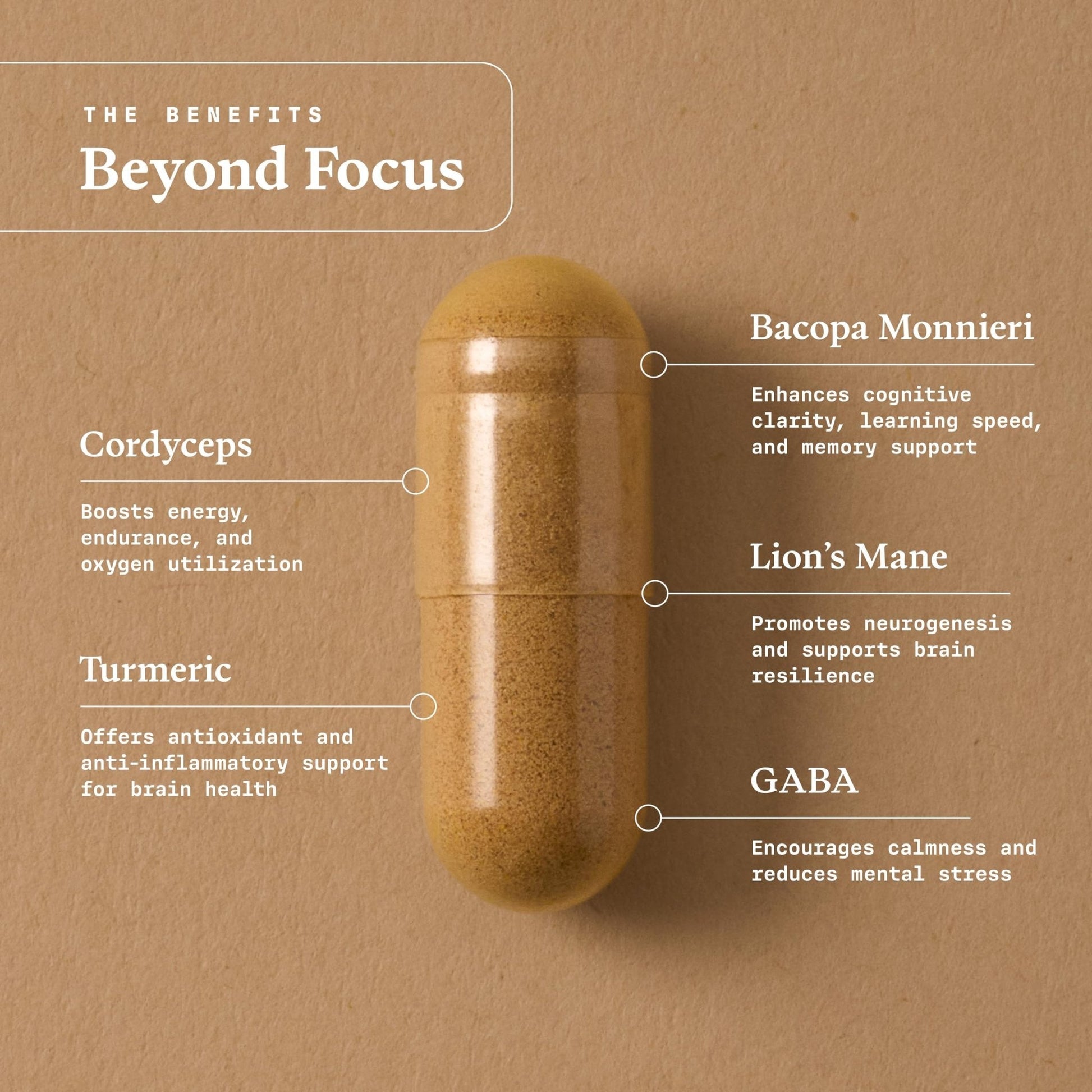 Ultra Life Sport - Beyond Focus Organic Mushroom Supplement - 30 Capsule Brain Supplements for Memory and Focus - 100% Vegan, Non-GMO - Memory Booster with Bacopa, Cordyceps, & Lion’s Mane - Maple Wellness Supplements