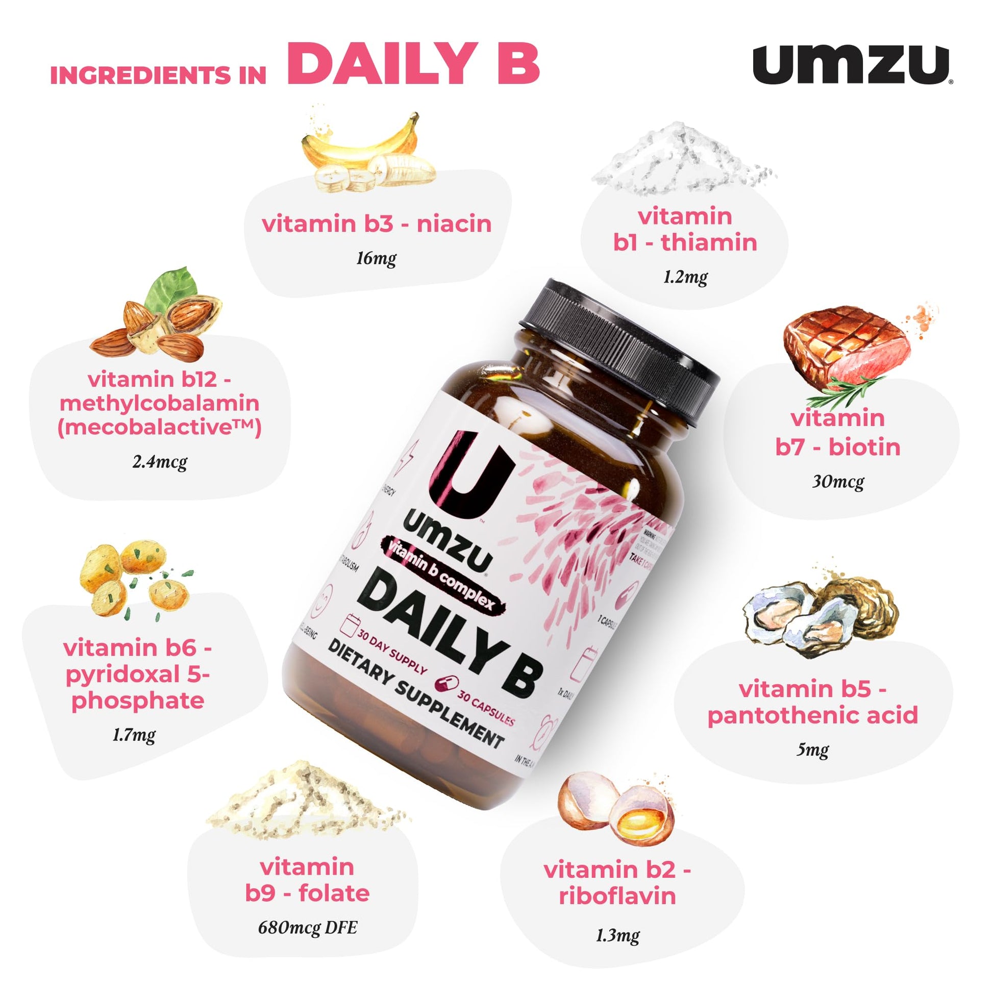 UMZU Daily B, 30 Day Supply – Complete Vitamin B Complex Supplement Blend with B1, B2, B3, B5, B6, B7, B9 & B12 Plus Folic Acid & Biotin – Supports Energy, Focus, Mood, - Maple Wellness Supplements