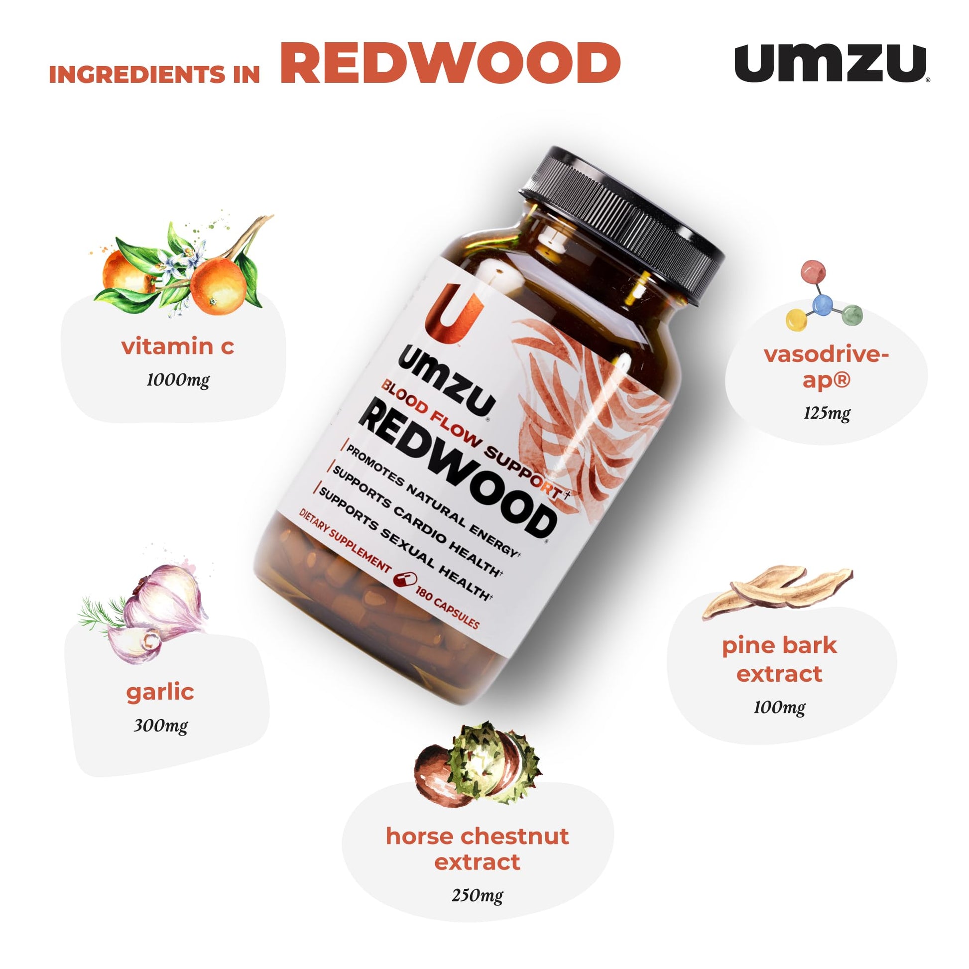 UMZU Redwood Nitric Oxide Booster, (30 Day Supply) – Vitamin C, Garlic & Horse Chestnut – Healthy Circulation & Endurance – Daily Cardiovascular Support Nitric Oxide - Maple Wellness Supplements