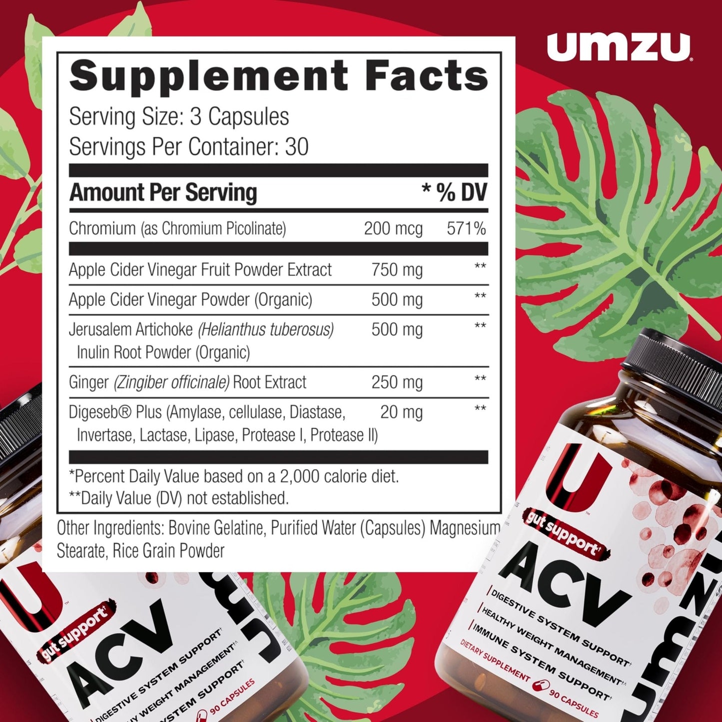 UMZU zuACV Apple Cider Vinegar + Prebiotics Supplement, (30 Day Supply) – ACV & Inulin Fiber Blend – Gut Health Support with ACV Capsules - Maple Wellness Supplements
