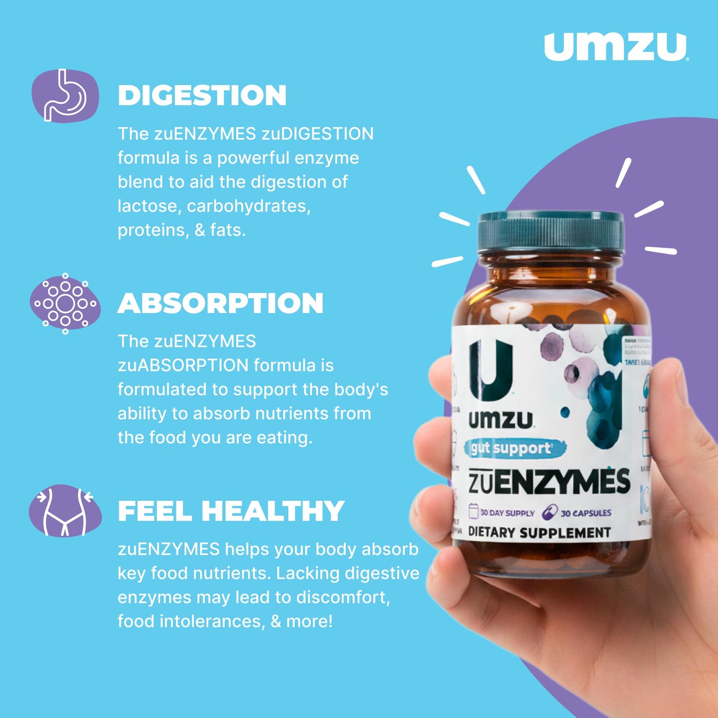 UMZU zuEnzymes Digestive Support Supplement, (30 Day Supply) – 21 Enzyme Blend with Lipase Protease & Amylase – Digestive Enzymes for Gut Health & Probiotic Daily - Maple Wellness Supplements