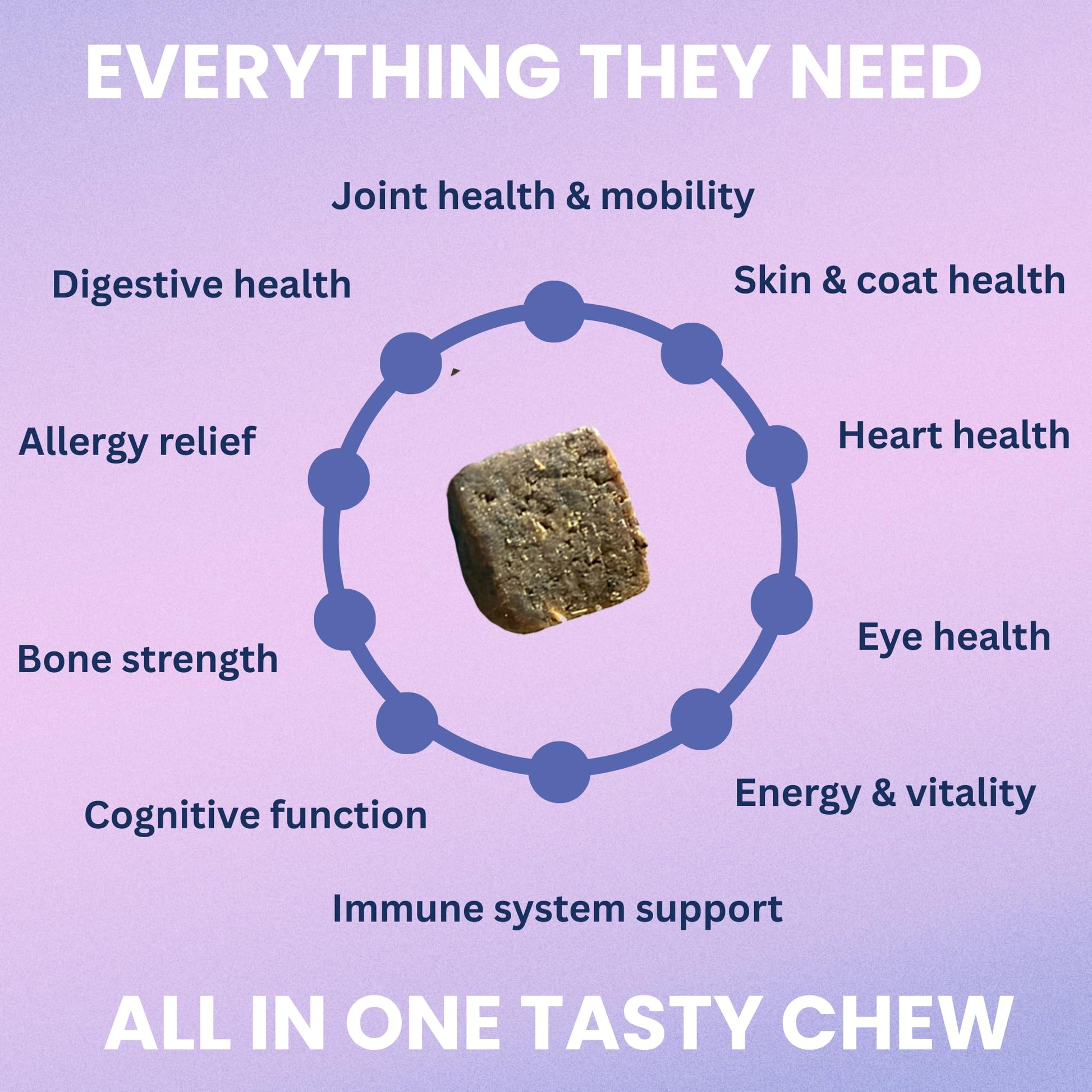 Under the Weather Multivitamin for Dogs | Vet Formulated Daily Canine Health Supplies for Immunity, Skin, Coat & Joint Support | All-in-One Multivitamin for Dogs of All Breeds & Sizes | 60 Count - Maple Wellness Supplements