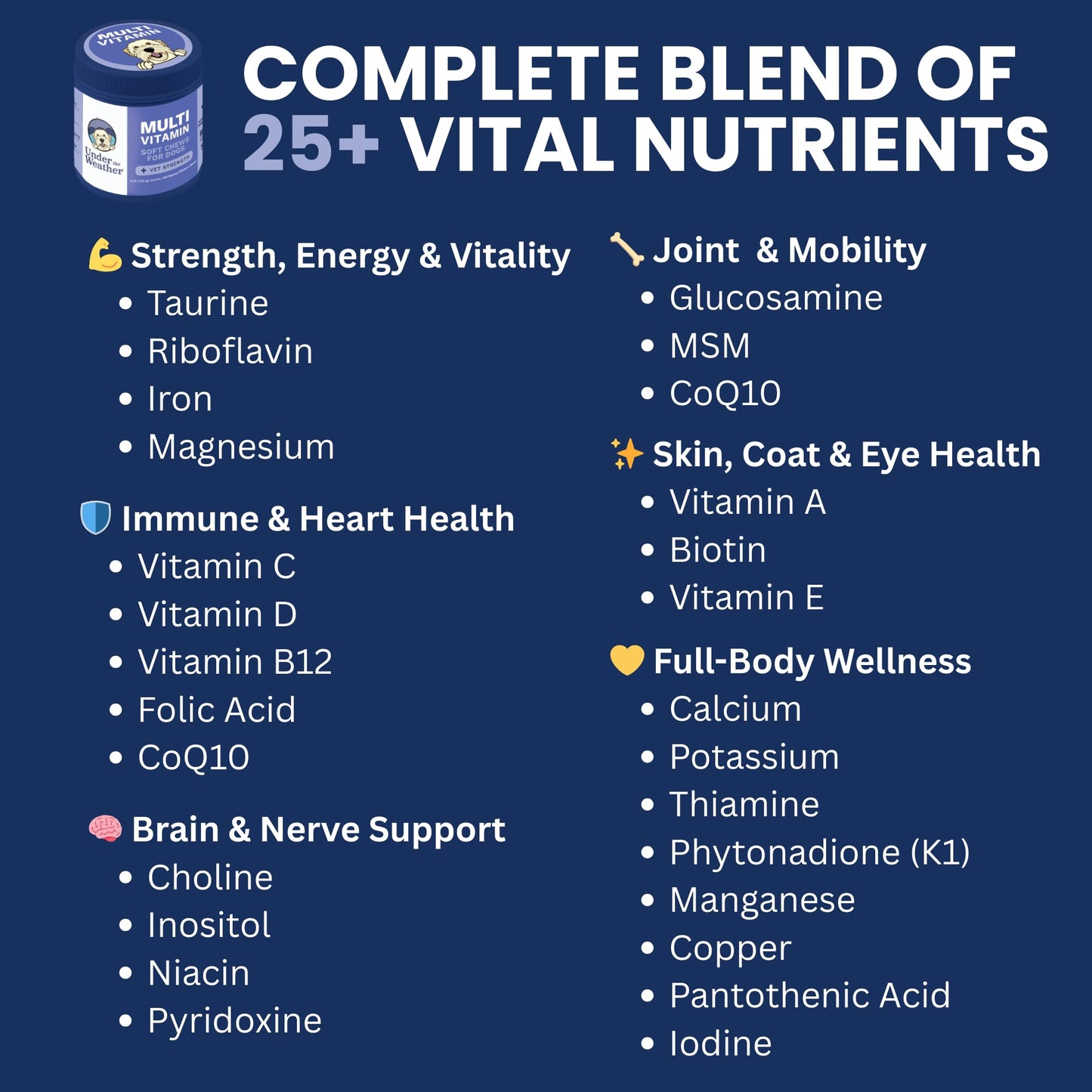 Under the Weather Multivitamin for Dogs | Vet Formulated Daily Canine Health Supplies for Immunity, Skin, Coat & Joint Support | All-in-One Multivitamin for Dogs of All Breeds & Sizes | 60 Count - Maple Wellness Supplements
