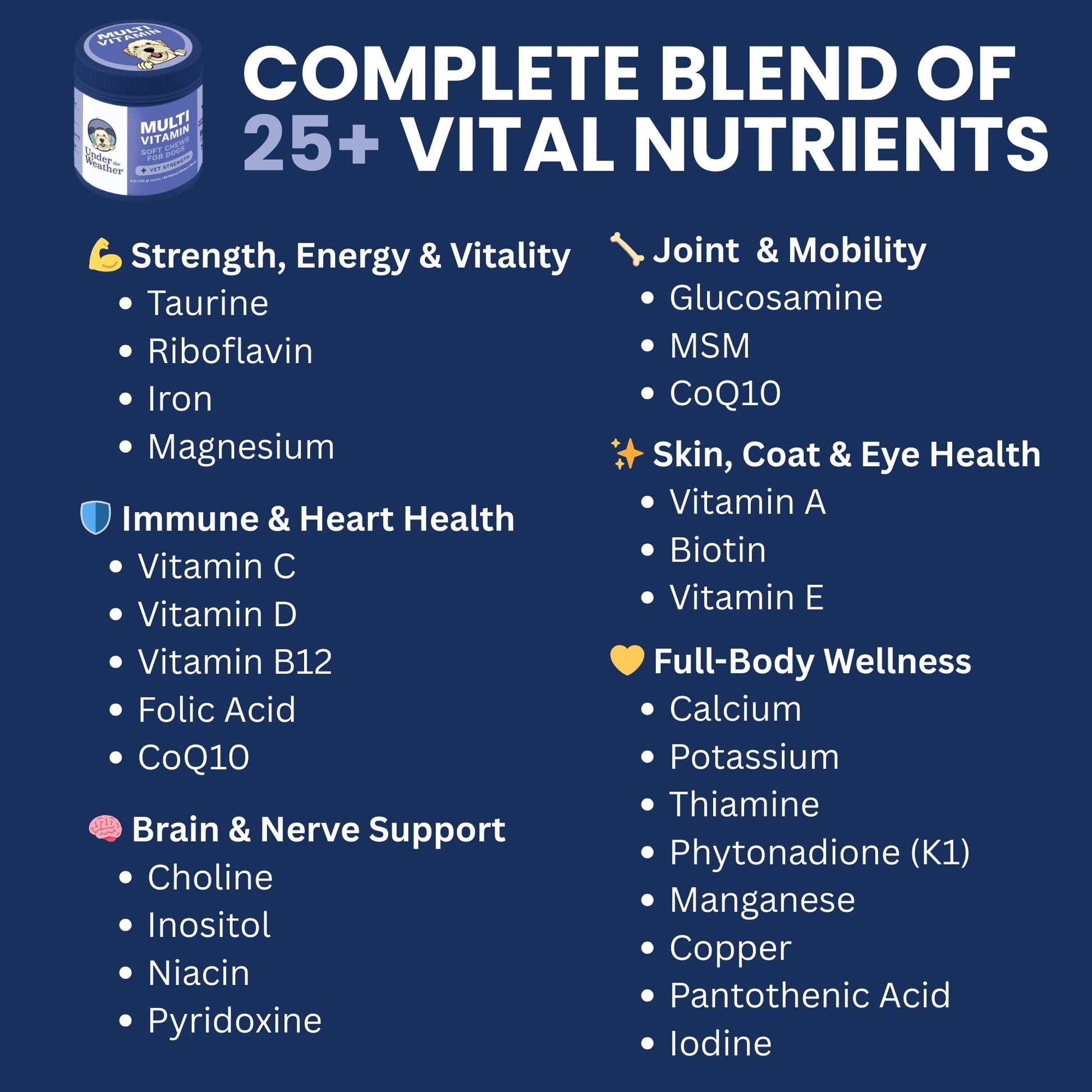 Under the Weather Multivitamin for Dogs | Vet Formulated Daily Canine Health Supplies for Immunity, Skin, Coat & Joint Support | All-in-One Multivitamin for Dogs of All Breeds & Sizes | 60 Count - Maple Wellness Supplements