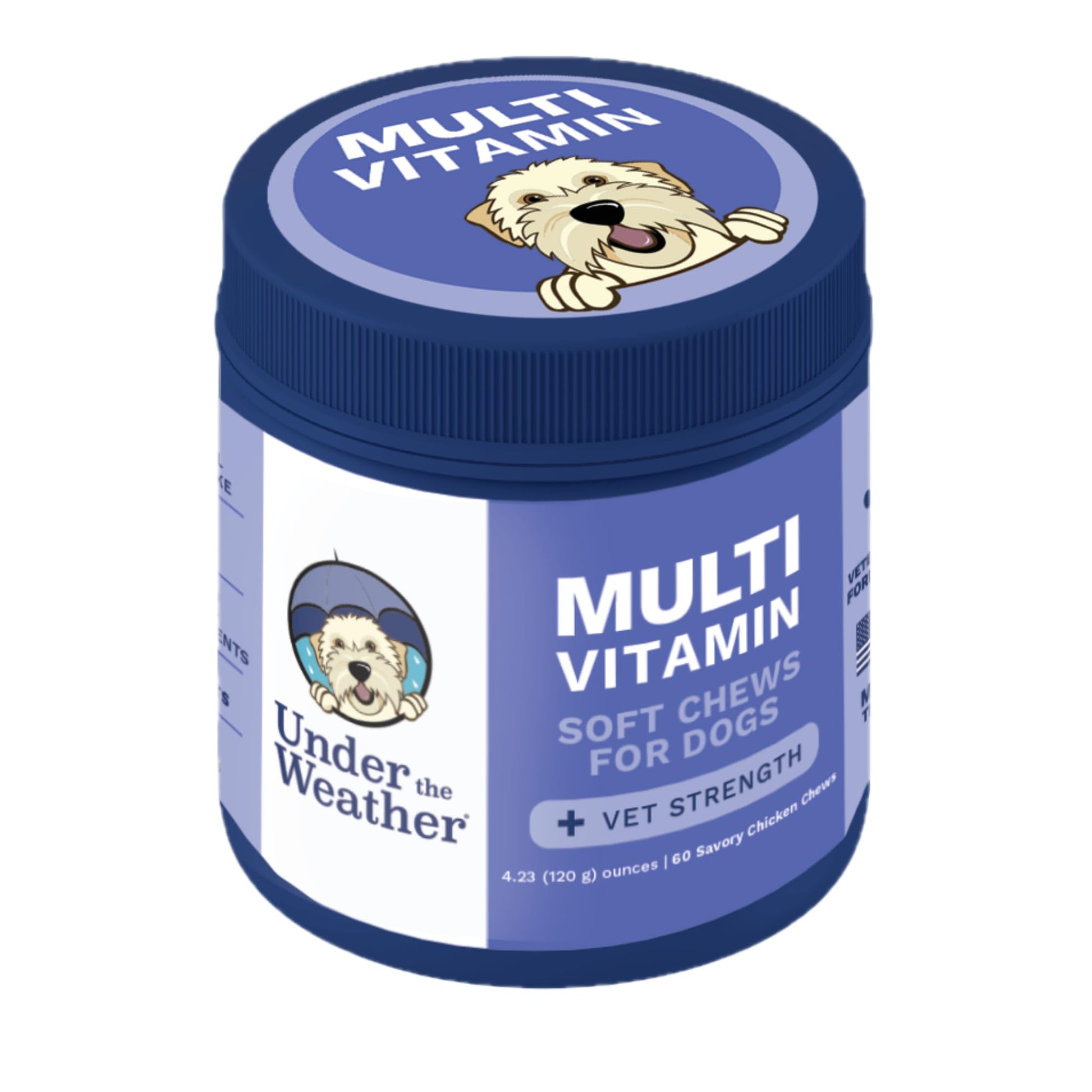 Under the Weather Multivitamin for Dogs | Vet Formulated Daily Canine Health Supplies for Immunity, Skin, Coat & Joint Support | All-in-One Multivitamin for Dogs of All Breeds & Sizes | 60 Count - Maple Wellness Supplements