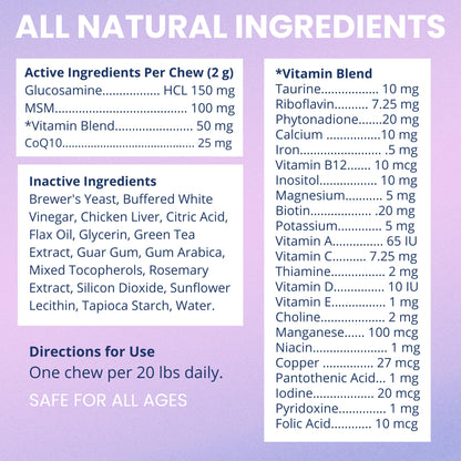 Under the Weather Multivitamin for Dogs | Vet Formulated Daily Canine Health Supplies for Immunity, Skin, Coat & Joint Support | All-in-One Multivitamin for Dogs of All Breeds & Sizes | 60 Count - Maple Wellness Supplements