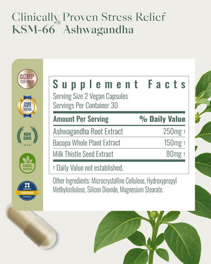 Upbe Ashwagandha Supplements for Women & Men - KSM-66® with Bacopa & Milk Thistle, 60 Vegan Capsules - Stress Relief, Mood, Cortisol Support, Extra Strength Ashwagandha Capsules - Maple Wellness Supplements
