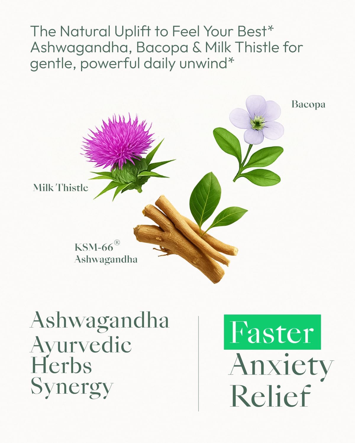 Upbe Ashwagandha Supplements for Women & Men - KSM-66® with Bacopa & Milk Thistle, 60 Vegan Capsules - Stress Relief, Mood, Cortisol Support, Extra Strength Ashwagandha Capsules - Maple Wellness Supplements