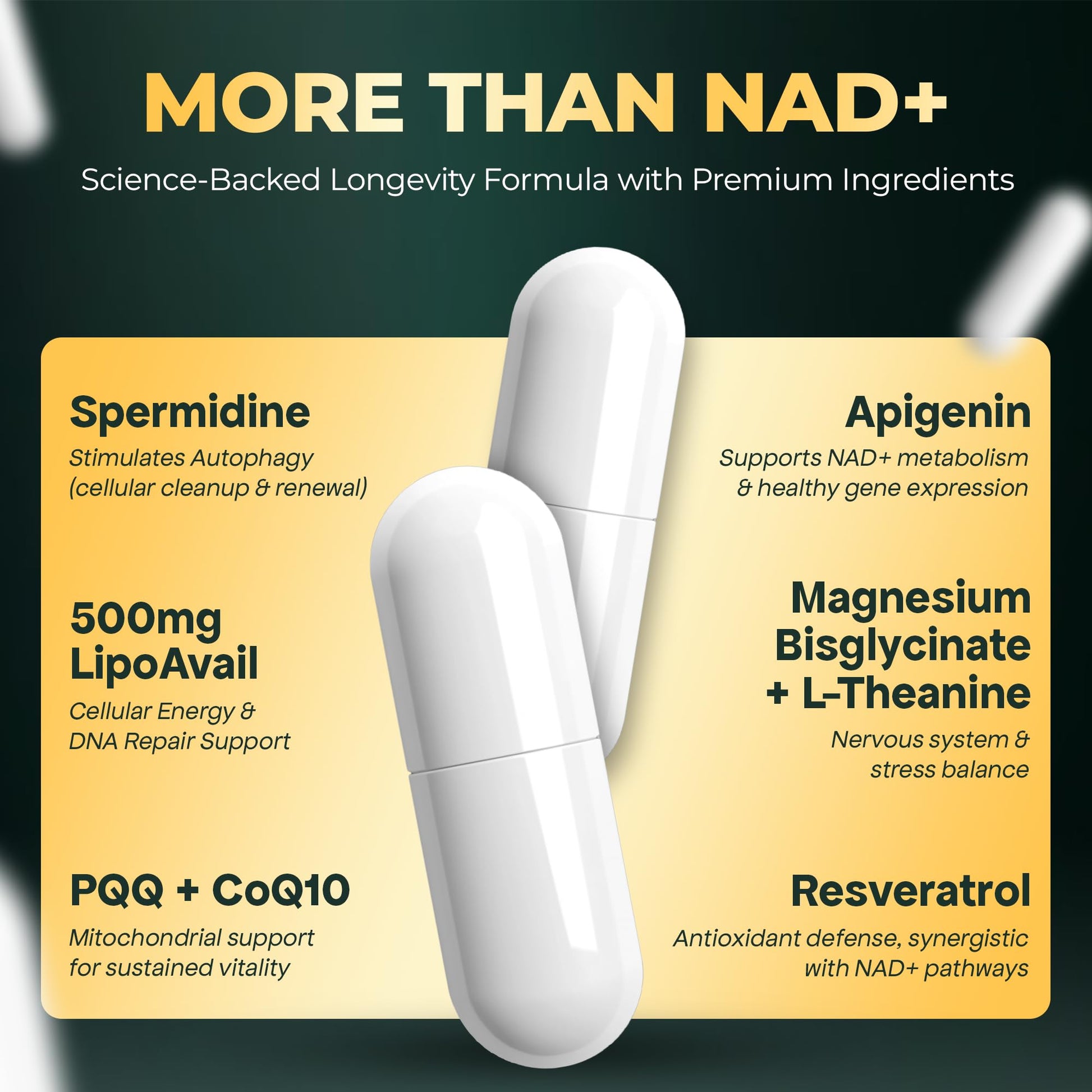UPLIFE NAD+ Supplement 1,372mg – Liposomal NAD+ with CoQ10, Resveratrol, Spermidine, L-Theanine, Apigenin & PQQ – NMNH Alternative Booster Cellular Energy, Healthy Aging, Immune Health – 120 Capsules - Maple Wellness Supplements