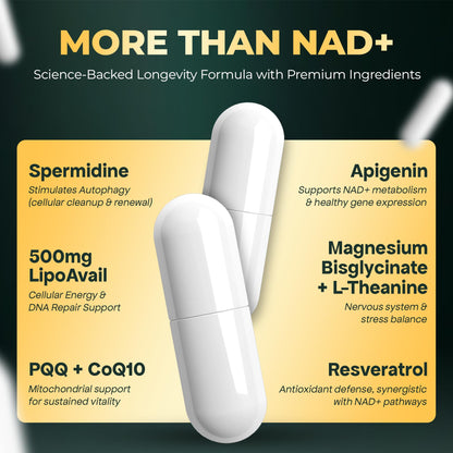 UPLIFE NAD+ Supplement 1,372mg – Liposomal NAD+ with CoQ10, Resveratrol, Spermidine, L-Theanine, Apigenin & PQQ – NMNH Alternative Booster Cellular Energy, Healthy Aging, Immune Health – 120 Capsules - Maple Wellness Supplements
