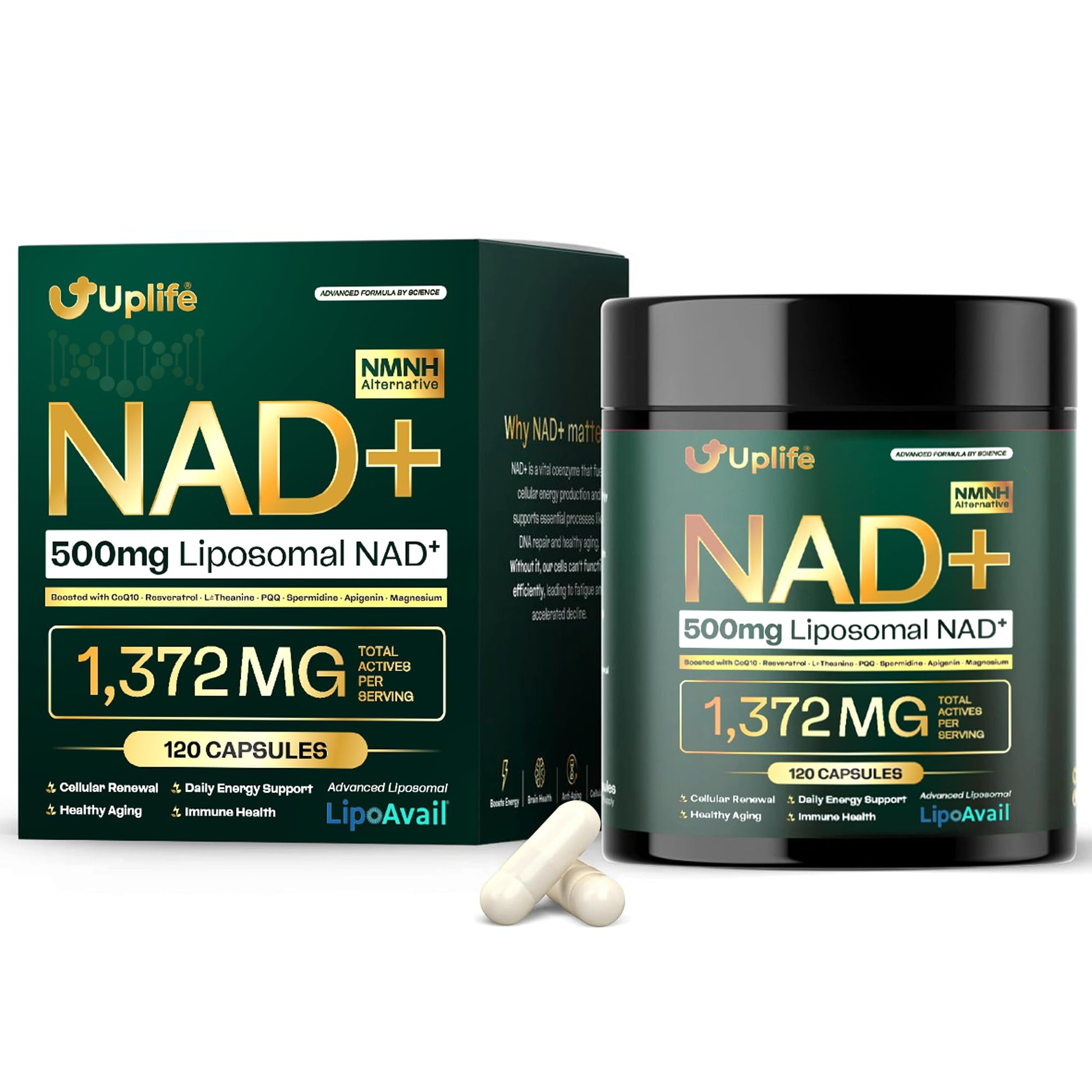 UPLIFE NAD+ Supplement 1,372mg – Liposomal NAD+ with CoQ10, Resveratrol, Spermidine, L-Theanine, Apigenin & PQQ – NMNH Alternative Booster Cellular Energy, Healthy Aging, Immune Health – 120 Capsules - Maple Wellness Supplements