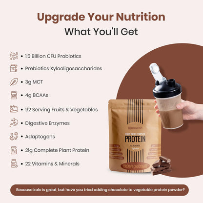 UpNourish Chocolate Vegan Protein Powder 54 Superfoods Powder,1.5 Billion CFU Probiotics 21g Plant Based Protein,No Sugar No Dairy No GMO Dairy Free,Meal Replacement Shake Keto-Friendly Low-Carb Diet,15 Servings - Maple Wellness Supplements