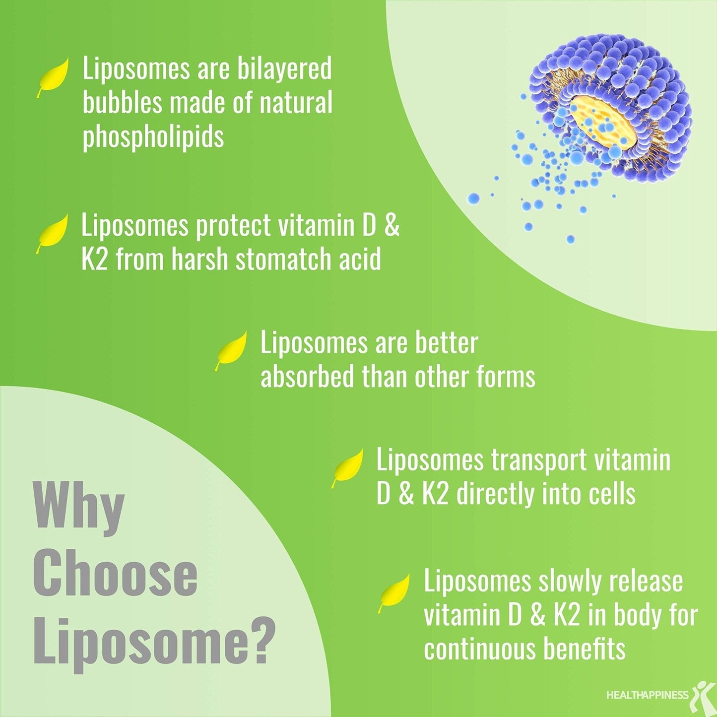 UpNourish Liposomal D3 K2 MK-7 – 365 Mini softgels with Organic Coconut Oil - 5000 IU 125 mcg Vitamin D3 and 100 mcg Vitamin k2 - Maple Wellness Supplements