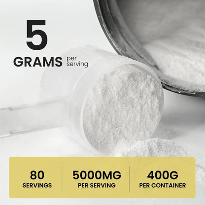 UpNourish Micronized Creatine Monohydrate Powder 400 G - Unflavored Vegan for Pre Workout, Muscle Building Pure Women and Men Instantized Supplement, 80 Servings 14.1096 Ounce - Maple Wellness Supplements