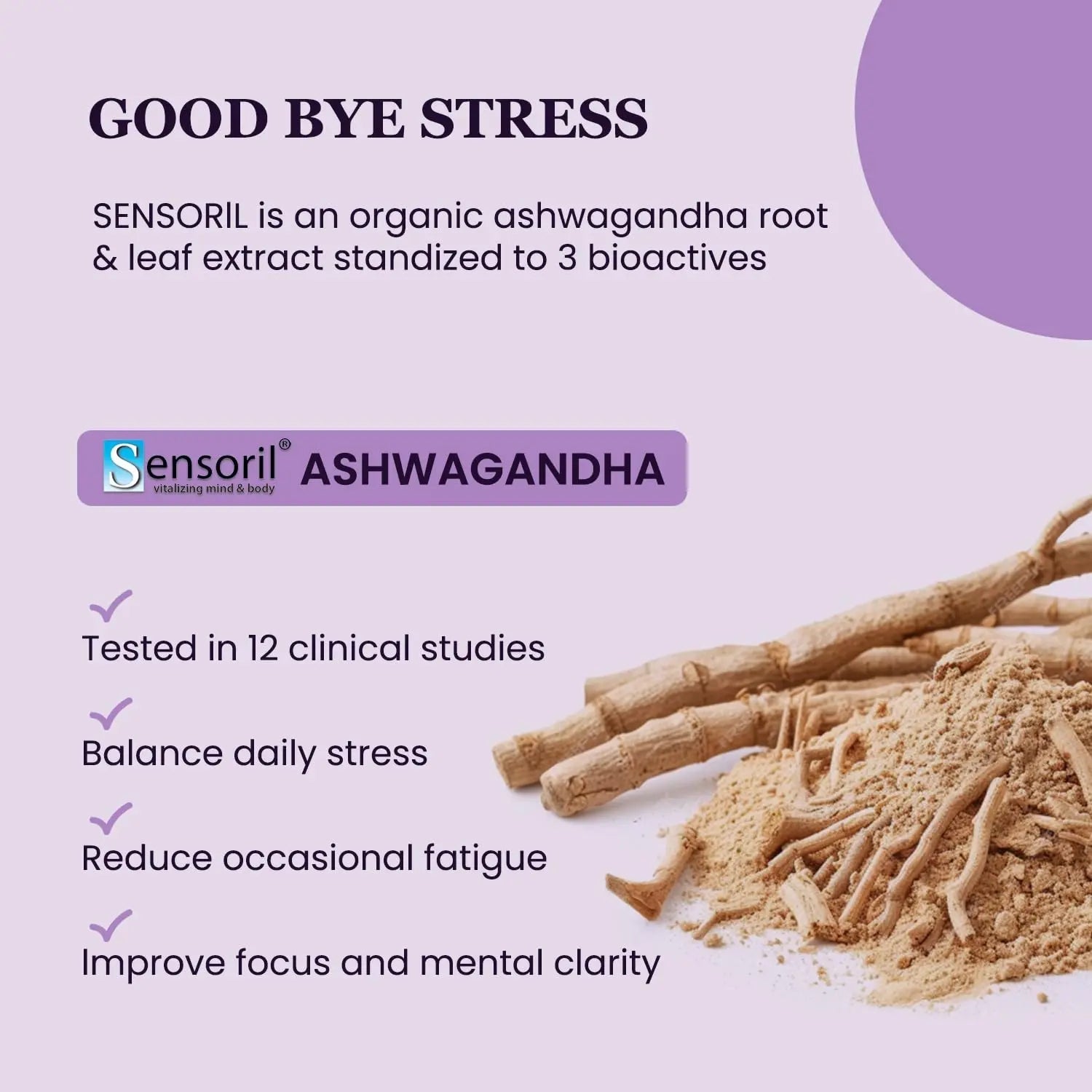 UpNourish Organic Ashwagandha Saffron Supplements with Probiotics - Stress Relief, Mood Enhancer, Calm Happy Pills Support Fatigue Focus Clarity with L-Theanine, Rhodiola, 30 Vegan Capsules - Maple Wellness Supplements