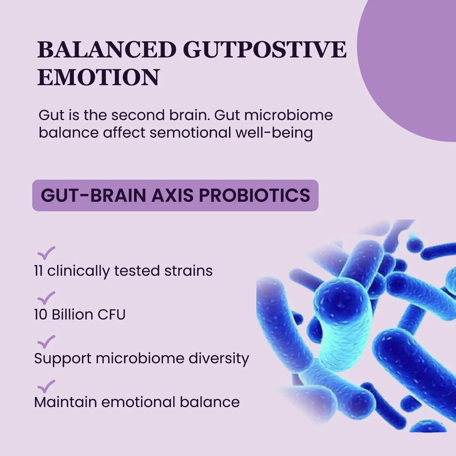 UpNourish Organic Ashwagandha Saffron Supplements with Probiotics - Stress Relief, Mood Enhancer, Calm Happy Pills Support Fatigue Focus Clarity with L-Theanine, Rhodiola, 30 Vegan Capsules - Maple Wellness Supplements