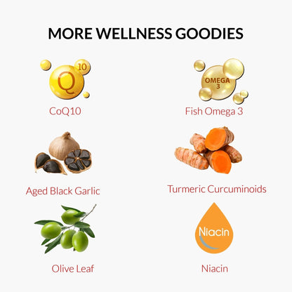 UpNourish Plant Sterols Citrus Bergamot Supplement for High Cholesterol with CoQ10, Omega 3, Olive Leaf, Turmeric Curcumin, Black Garlic and Niacin - 120 Softgels - Maple Wellness Supplements