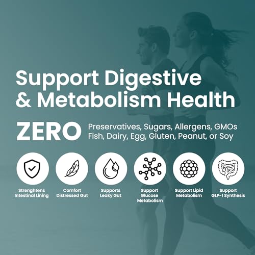 UpNourish Probiotics - 200 Billion CFUs, 15 Strains, Prebiotics & Enzymes - 60 Vegan Cap - Maple Wellness Supplements