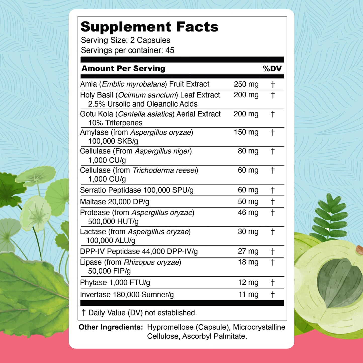 UpWellness Total Revive+ Digestive Enzymes - Broad-Spectrum Enzymes for Digestive Health - Supports Gut Health and Nutrient Absorption - Maple Wellness Supplements