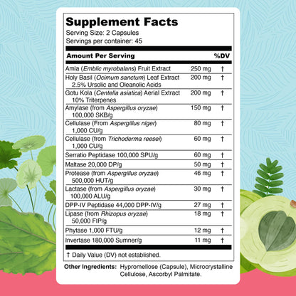 UpWellness Total Revive+ Digestive Enzymes - Broad-Spectrum Enzymes for Digestive Health - Supports Gut Health and Nutrient Absorption - Maple Wellness Supplements