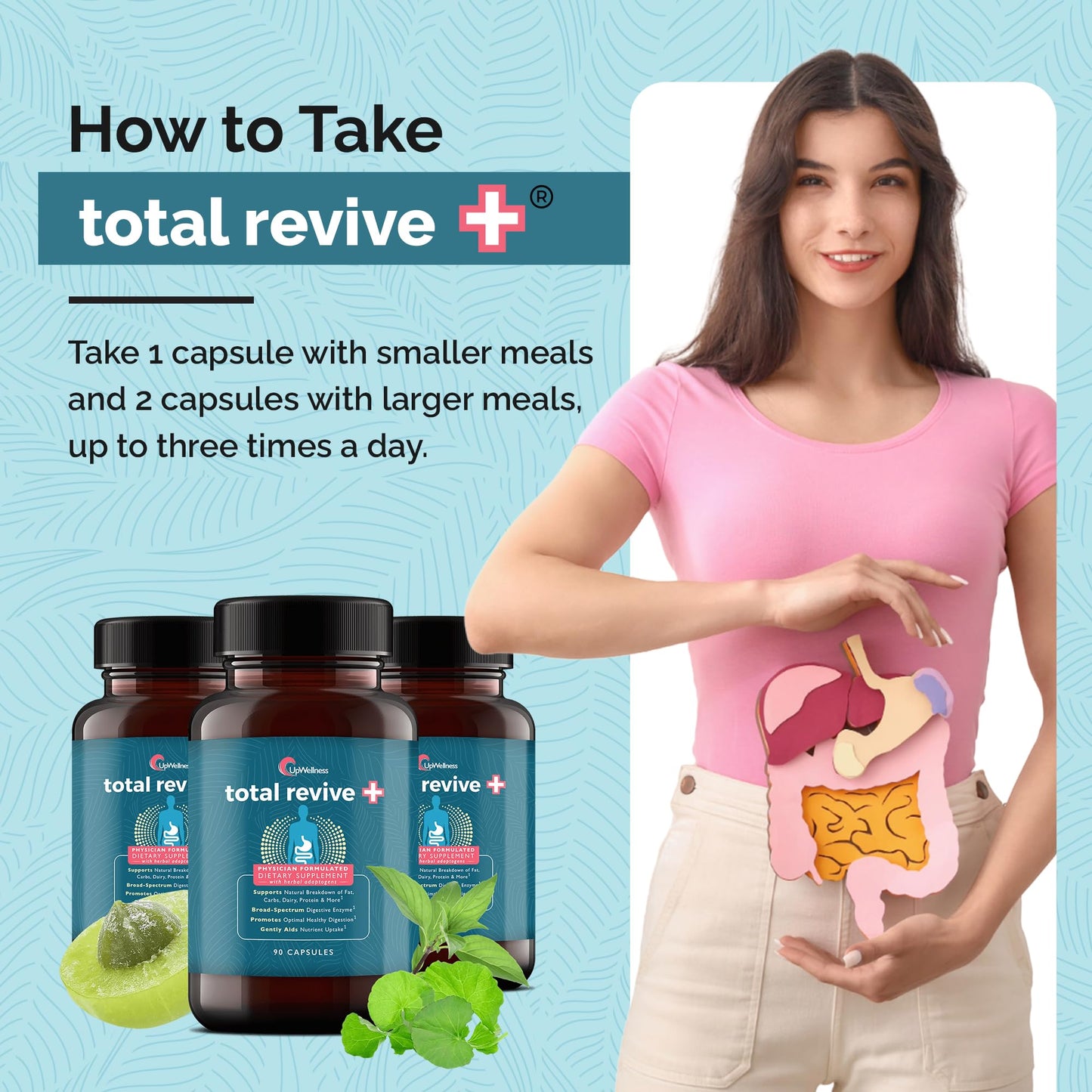 UpWellness Total Revive+ Digestive Enzymes - Broad-Spectrum Enzymes for Digestive Health - Supports Gut Health and Nutrient Absorption - Maple Wellness Supplements