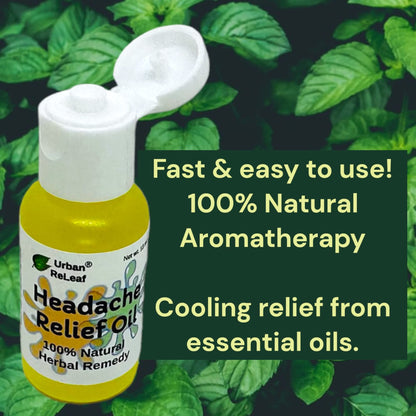 Urban ReLeaf Headache Relief Oil! 100% Natural Herbal Remedy, Sinus, Tension, Neck, Temples. Made in USA! Works Fast! Gentle Essential Oil Relief - Maple Wellness Supplements