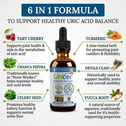 Uricel - Advanced Uric Acid Support & Cleanse Supplement - Liquid Delivery for Better Absorption - Tart Cherry, Chanca Piedra, Celery Seed, Turmeric & More! - Maple Wellness Supplements