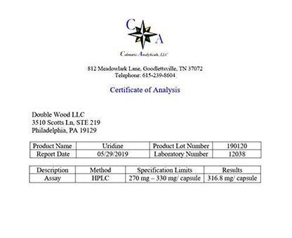 Uridine Monophosphate - Third Party Tested (Choline Enhancer, Beginner Nootropic) - Maple Wellness Supplements