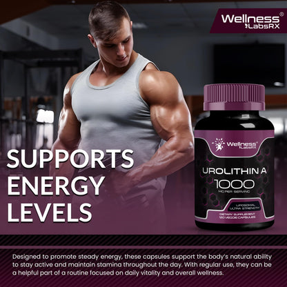 Urolithin A Supplement Capsules 1,000mg (98.9% Pure) – Advanced Urolithin A+ Formula for Cellular Renewal & Mitochondrial Support - Maple Wellness Supplements