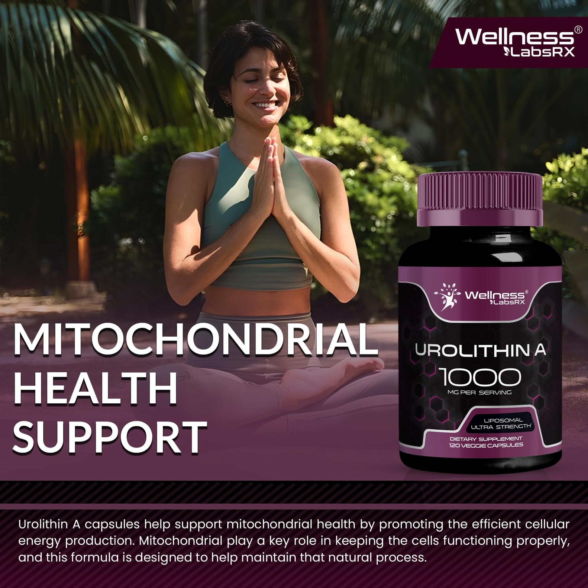 Urolithin A Supplement Capsules 1,000mg (98.9% Pure) – Advanced Urolithin A+ Formula for Cellular Renewal & Mitochondrial Support - Maple Wellness Supplements